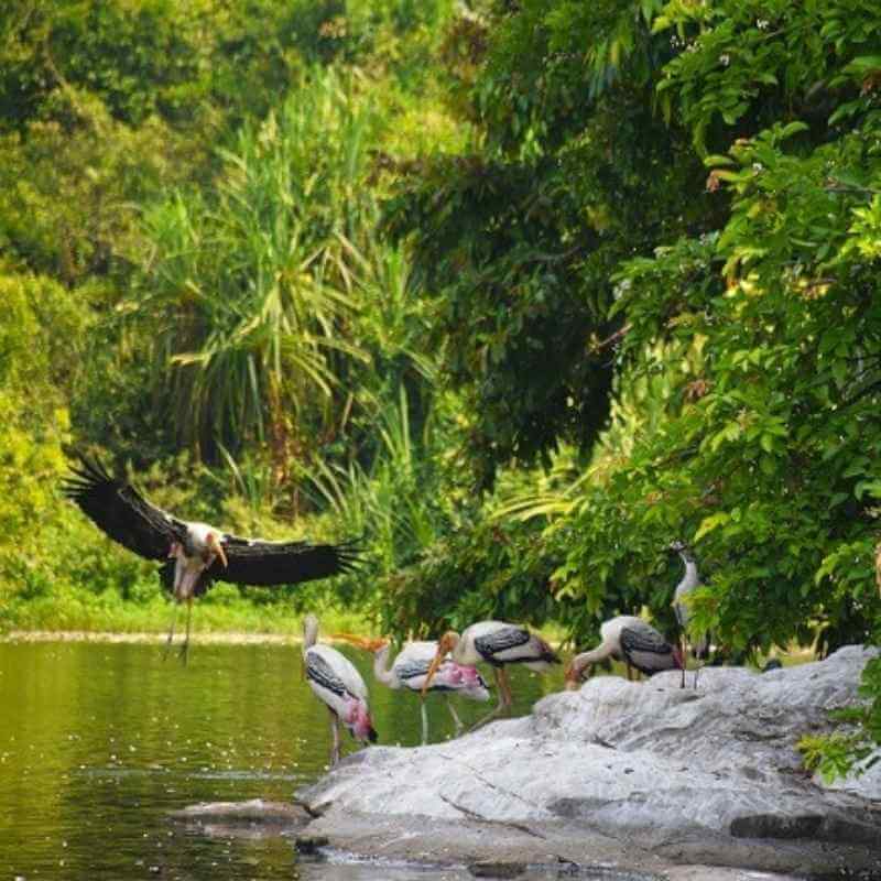 Salim Ali Bird Sanctuary