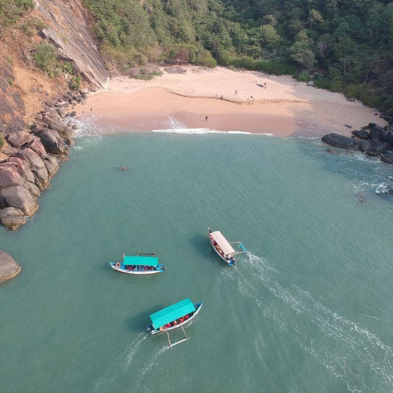 Palolem Beach Butterfly